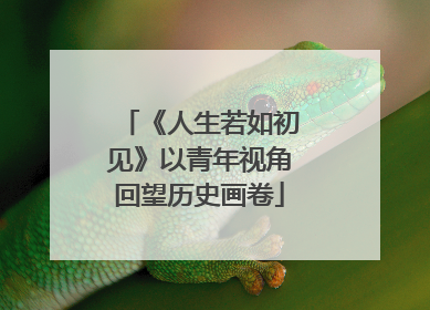 《人生若如初见》以青年视角回望历史画卷
