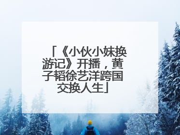 《小伙小妹换游记》开播，黄子韬徐艺洋跨国交换人生
