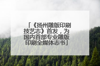 《扬州雕版印刷技艺志》首发，为国内首部专业雕版印刷全媒体志书