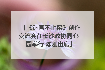 《铜官不止窑》创作交流会在长沙政协同心园举行 陈刚出席