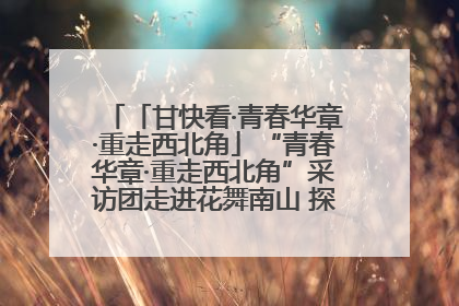 「甘快看·青春华章·重走西北角」“青春华章·重走西北角”采访团走进花舞南山 探寻天水乡村振兴之路