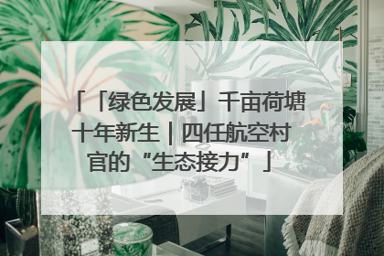 「绿色发展」千亩荷塘 十年新生｜四任航空村官的“生态接力”