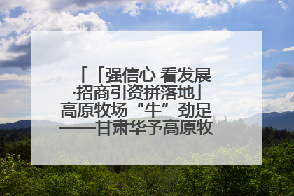 「强信心 看发展·招商引资拼落地」高原牧场“牛”劲足——甘肃华予高原牧场高标准奶牛肉牛养殖项目一线见闻