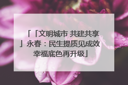 「文明城市 共建共享」永春：民生提质见成效 幸福底色再升级