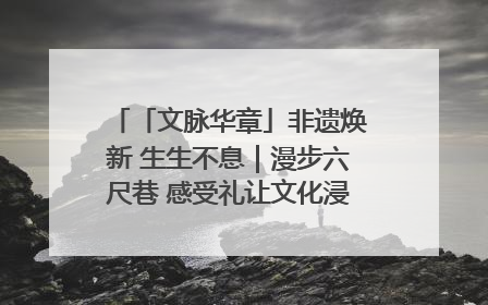 「文脉华章」非遗焕新 生生不息｜漫步六尺巷 感受礼让文化浸润的“巷”往生活