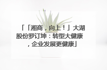 「湘商，向上！」大湖股份罗订坤：转型大健康，企业发展更健康
