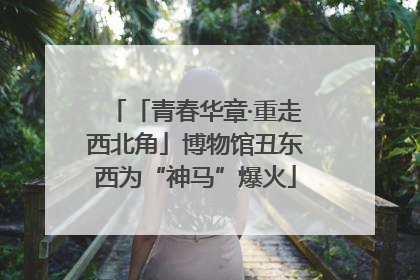 「青春华章·重走西北角」博物馆丑东西为“神马”爆火