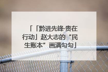 「黔进先锋·贵在行动」赵大志的“民生账本”画满勾勾