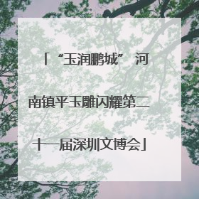 “玉润鹏城” 河南镇平玉雕闪耀第二十一届深圳文博会