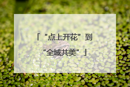 “点上开花”到“全域共美”