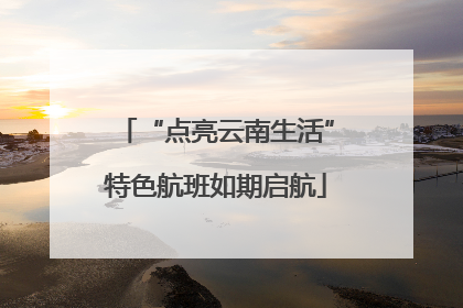 “点亮云南生活”特色航班如期启航