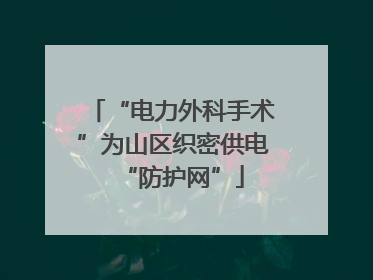 “电力外科手术”为山区织密供电“防护网”