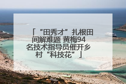 “田秀才”扎根田间解难题 黄梅94名技术指导员催开乡村“科技花”
