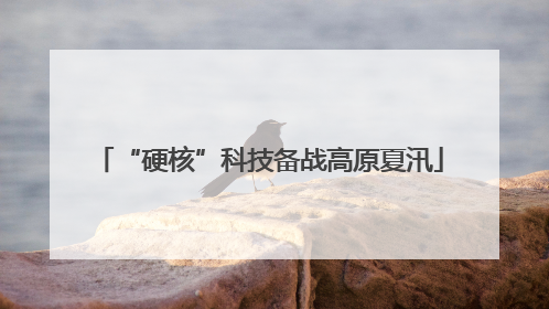 “硬核”科技备战高原夏汛