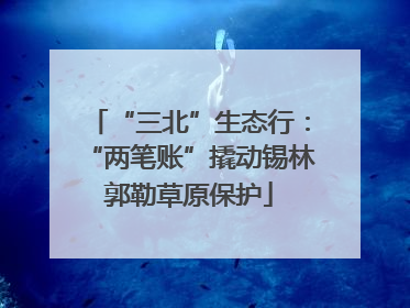 “三北”生态行：“两笔账”撬动锡林郭勒草原保护