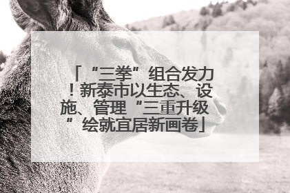 “三拳”组合发力！新泰市以生态、设施、管理“三重升级”绘就宜居新画卷