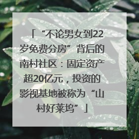 “不论男女到22岁免费分房”背后的南村社区：固定资产超20亿元，投资的影视基地被称为“山村好莱坞”