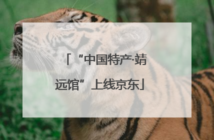 “中国特产·靖远馆”上线京东