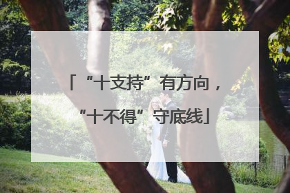 “十支持”有方向，“十不得”守底线