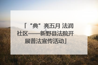 “典”亮五月 法润社区——新野县法院开展普法宣传活动