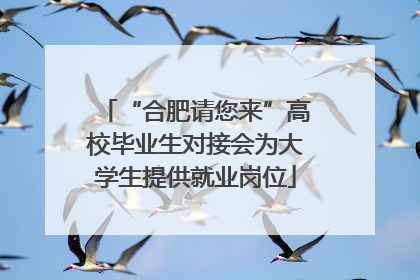 “合肥请您来”高校毕业生对接会为大学生提供就业岗位