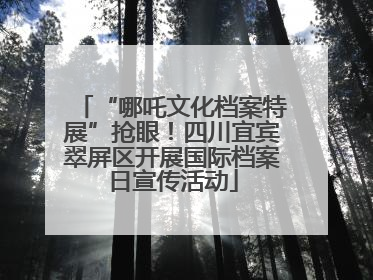 “哪吒文化档案特展”抢眼！四川宜宾翠屏区开展国际档案日宣传活动