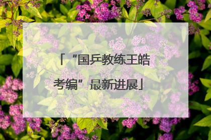 “国乒教练王皓考编”最新进展