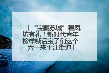“宝藏苏城”碧凤坊有礼！新时代青年榜样喊话宝子们这个六一来平江街道
