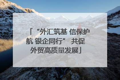 “外汇筑基 信保护航 银企同行” 共促外贸高质量发展