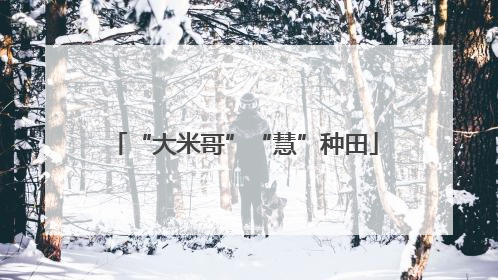 “大米哥”“慧”种田