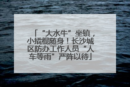 “大水牛”坐镇，小撬棍随身！长沙城区防办工作人员“人车等雨”严阵以待