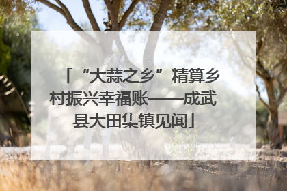 “大蒜之乡”精算乡村振兴幸福账——成武县大田集镇见闻