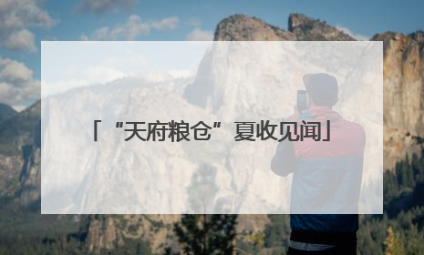 “天府粮仓”夏收见闻