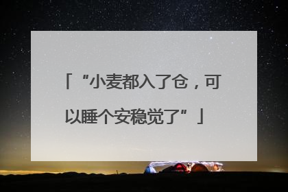 “小麦都入了仓，可以睡个安稳觉了”