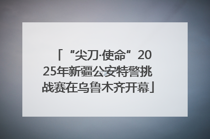 “尖刀·使命”2025年新疆公安特警挑战赛在乌鲁木齐开幕