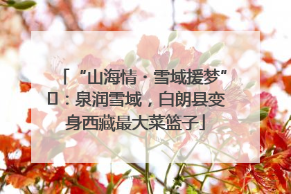 “山海情・雪域援梦”⑪：泉润雪域，白朗县变身西藏最大菜篮子