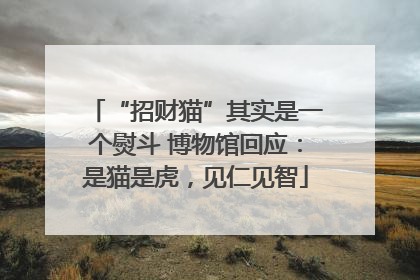 “招财猫”其实是一个熨斗 博物馆回应：是猫是虎，见仁见智