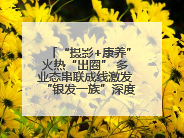 “摄影+康养”火热“出圈” 多业态串联成线激发“银发一族”深度游潜力