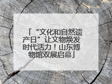 “文化和自然遗产日”让文物焕发时代活力！山东博物馆双展启幕