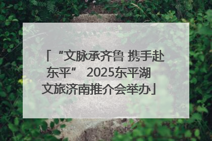 “文脉承齐鲁 携手赴东平” 2025东平湖文旅济南推介会举办