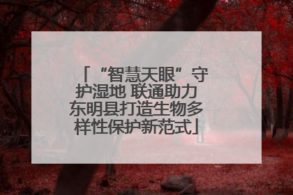 “智慧天眼”守护湿地 联通助力东明县打造生物多样性保护新范式