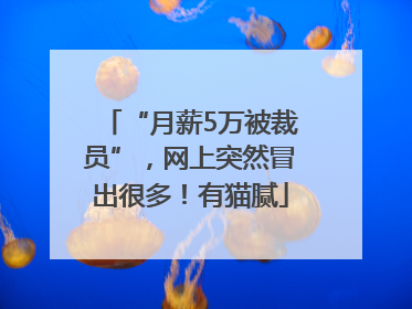 “月薪5万被裁员”，网上突然冒出很多！有猫腻