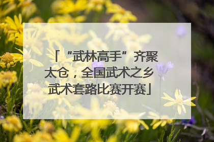 “武林高手”齐聚太仓，全国武术之乡武术套路比赛开赛