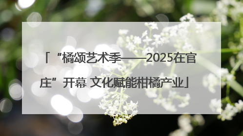 “橘颂艺术季——2025在官庄”开幕 文化赋能柑橘产业