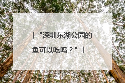 “深圳东湖公园的鱼可以吃吗？”