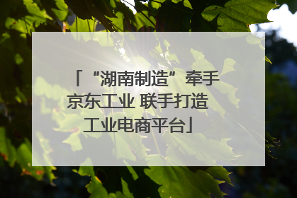 “湖南制造”牵手京东工业 联手打造工业电商平台