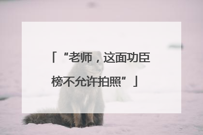 “老师，这面功臣榜不允许拍照”