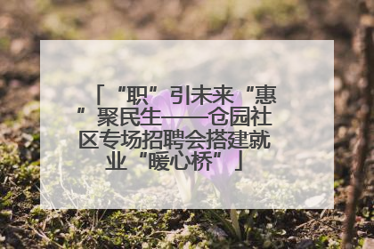 “职”引未来“惠”聚民生——仓园社区专场招聘会搭建就业“暖心桥”
