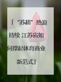 “苏超”热浪持续 江苏省如何撑起体育商业新范式
