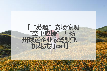 “苏超”赛场惊现 “空中应援”！扬州球迷企业家驾驶飞机花式打call